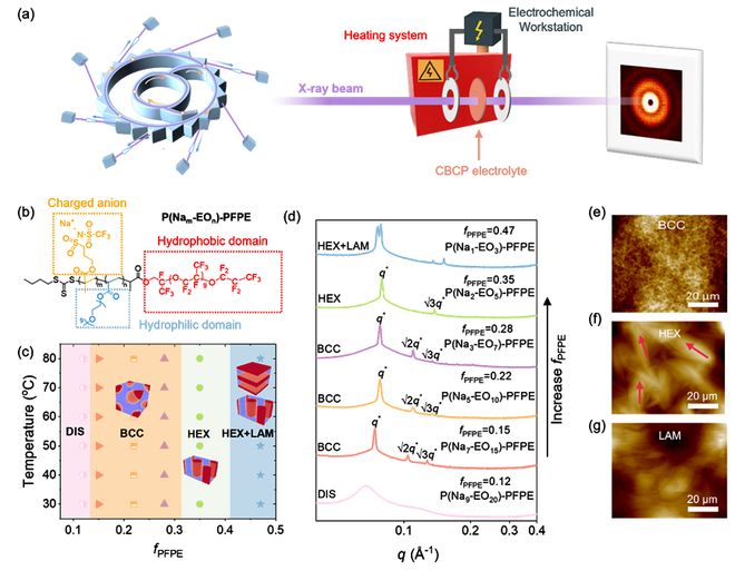 澳大利亚昆士兰大学张承团队最新JACS： 全固态聚合物电解质